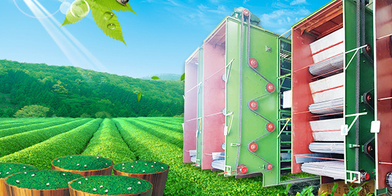 Máy bảo quản chè